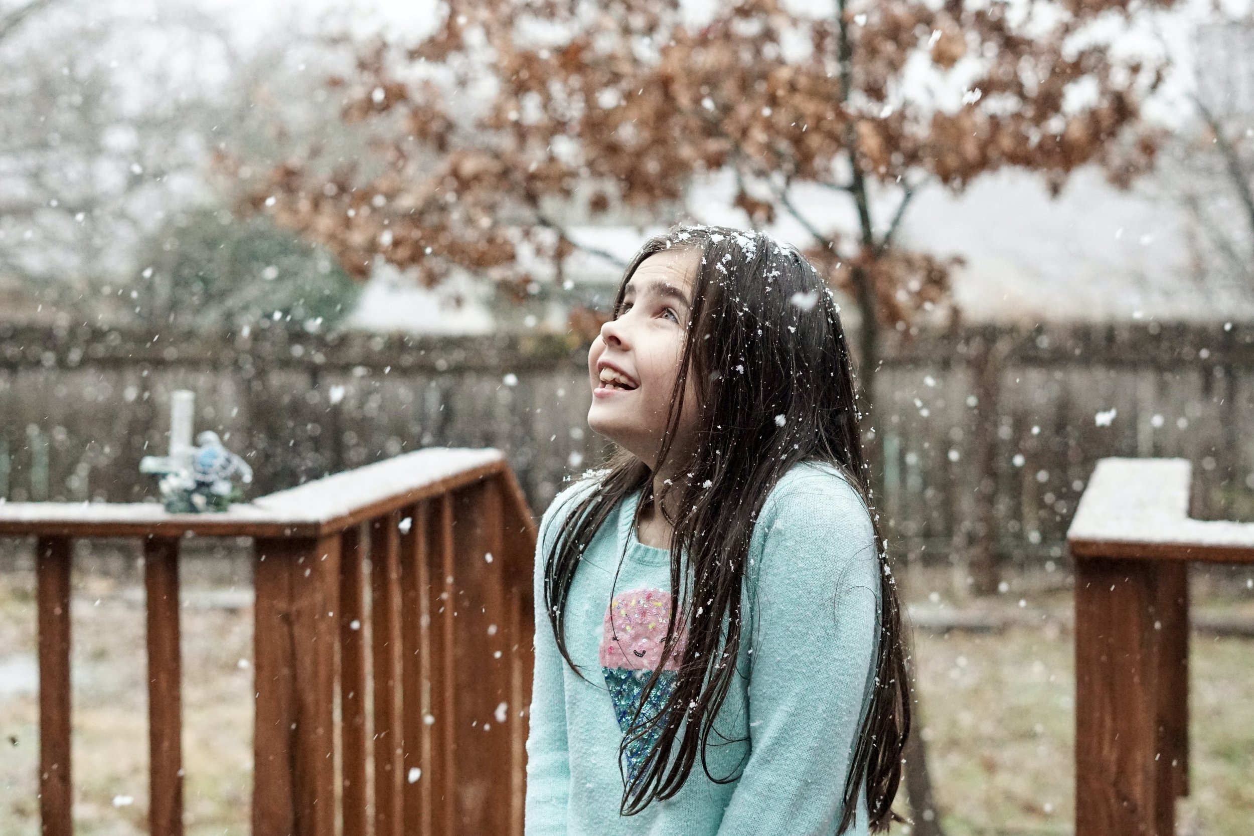 Holiday Wonder